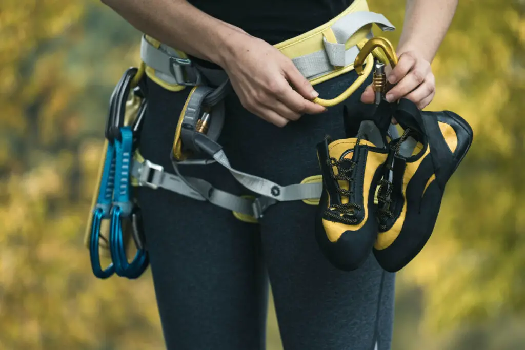 Do Climbing Carabiners Expire? Tryout Nature